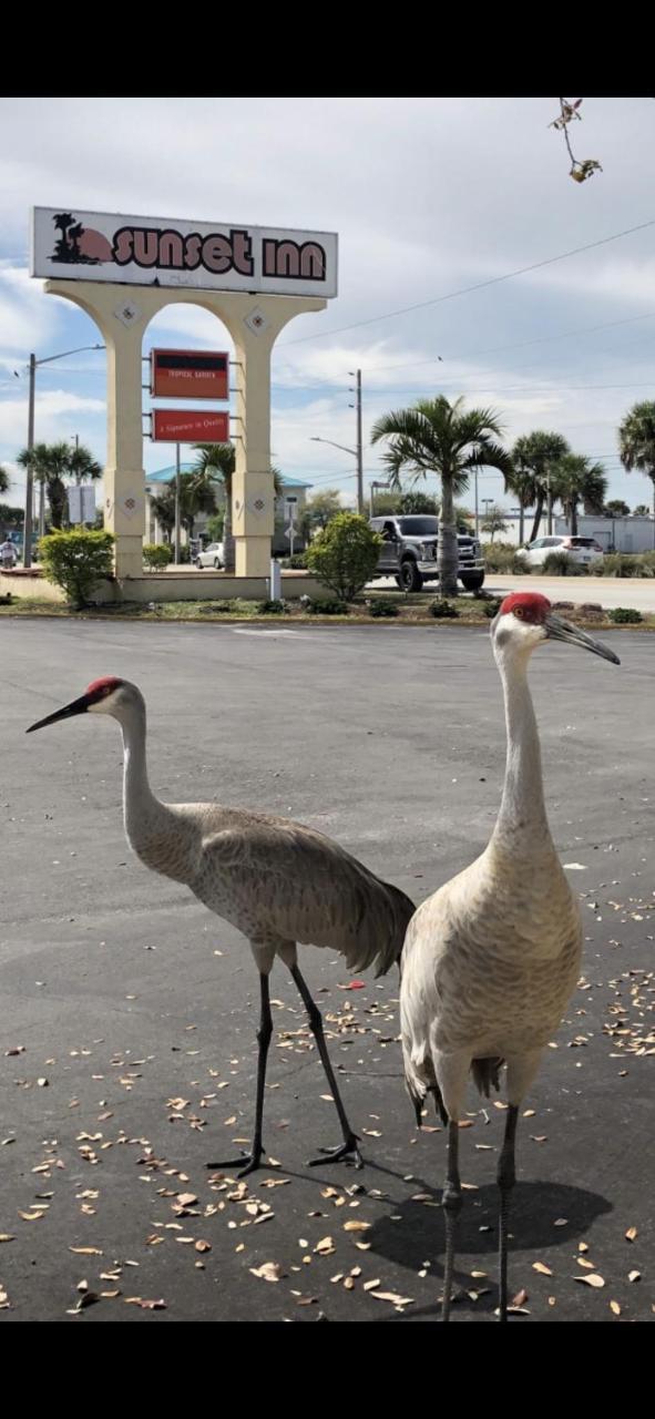 Sunset Inn Fort Pierce Bagian luar foto